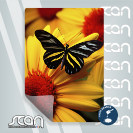 Adesivo Vinil UV