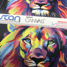 CANVAS Solvente